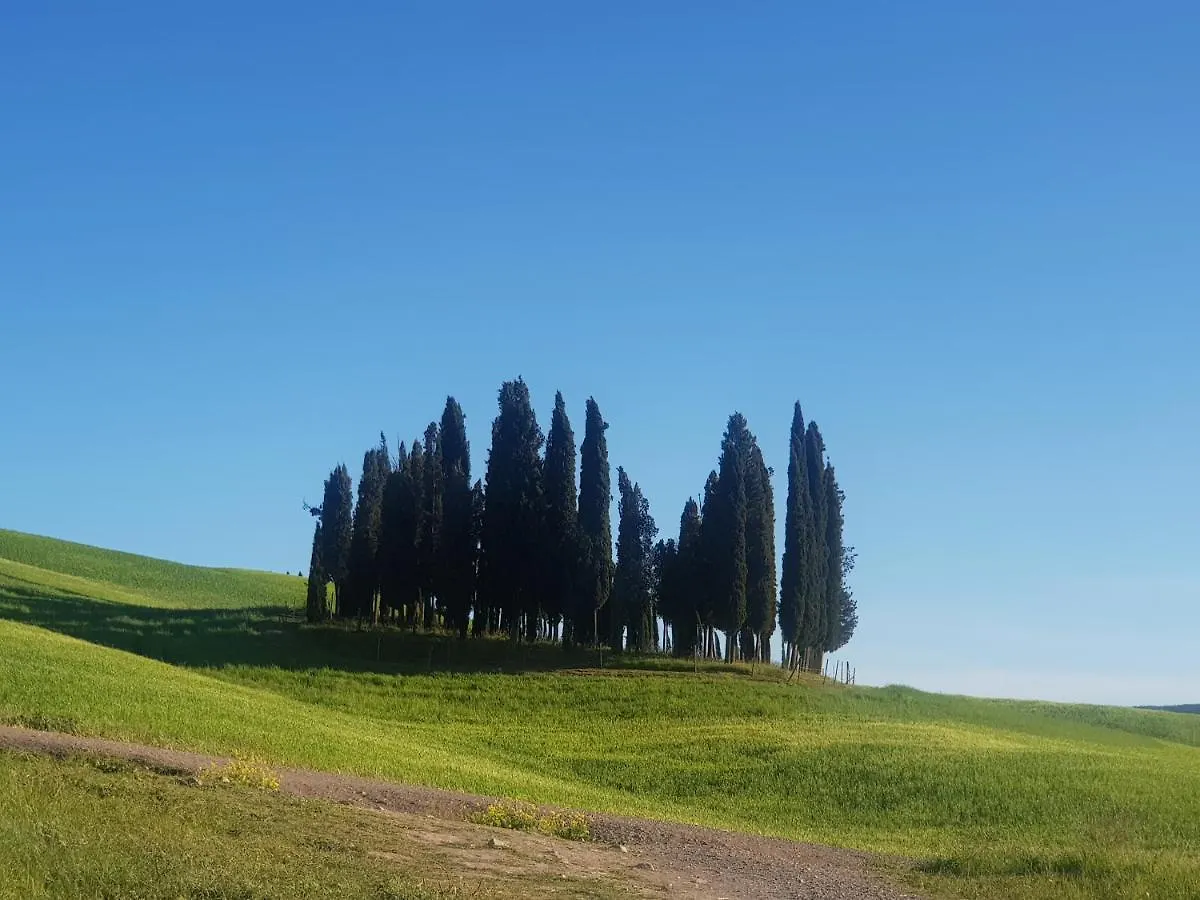 Bed & Breakfast Palazzetto Del Pittore San Quirico d'Orcia