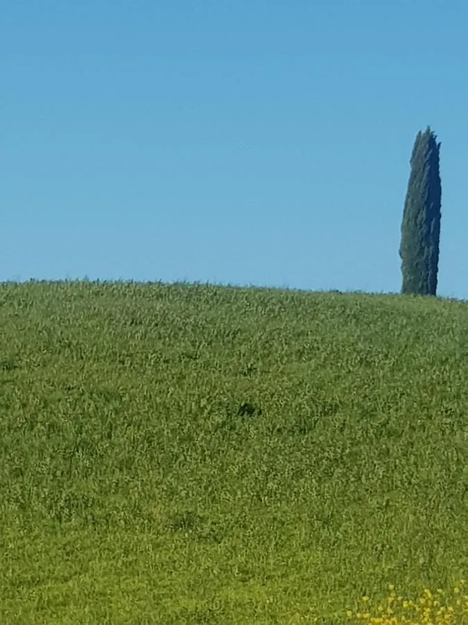 Palazzetto Del Pittore San Quirico d'Orcia Bed & Breakfast