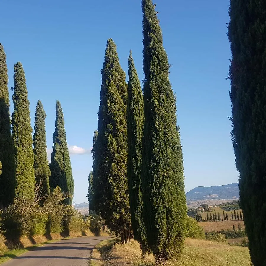 Palazzetto Del Pittore San Quirico d'Orcia Bed & Breakfast