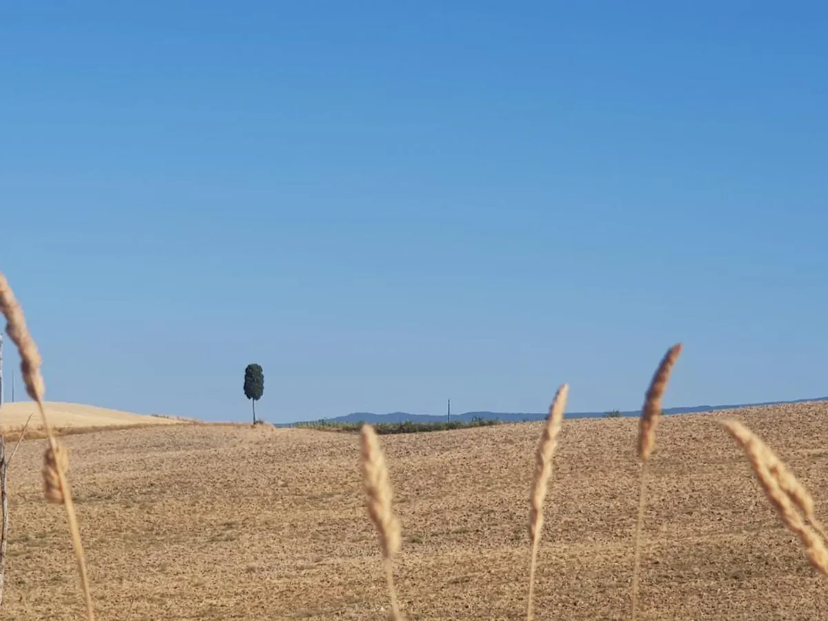 Palazzetto Del Pittore San Quirico d'Orcia Bed & Breakfast