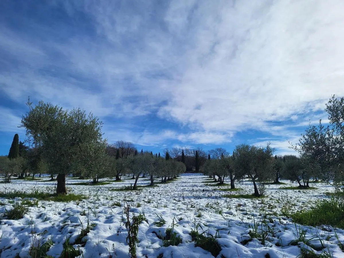 Bed & Breakfast Palazzetto Del Pittore San Quirico d'Orcia Italy