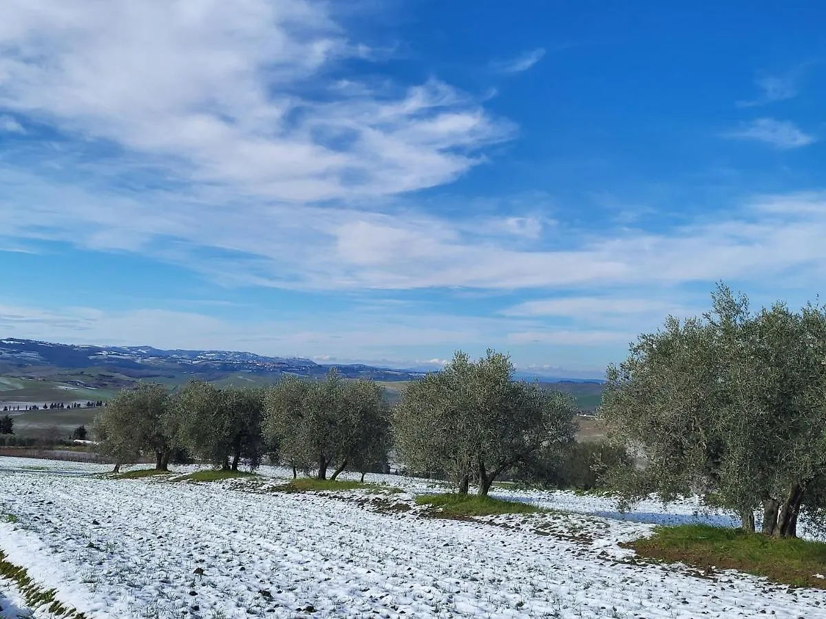 Palazzetto Del Pittore San Quirico d'Orcia Bed & Breakfast