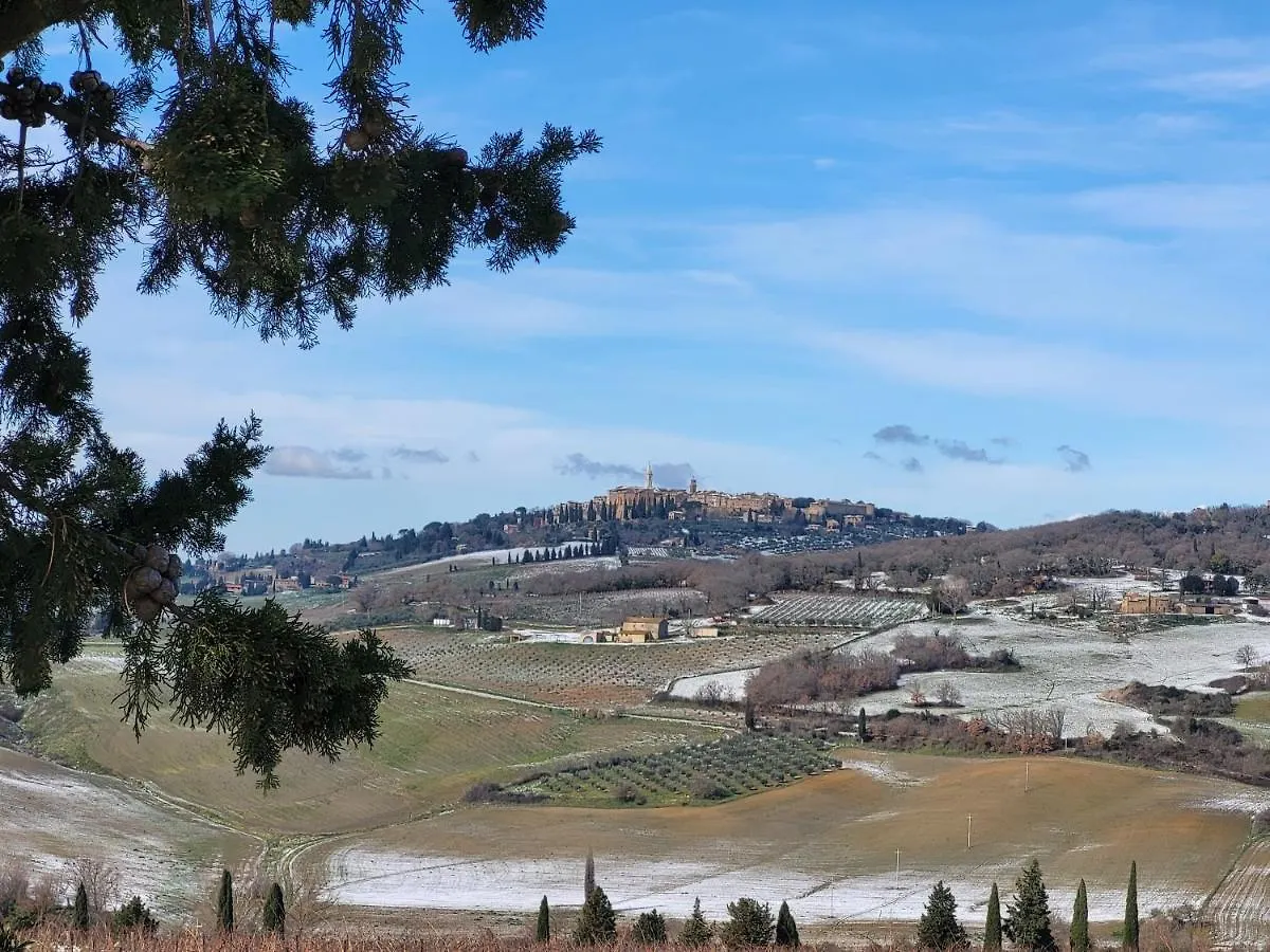Palazzetto Del Pittore San Quirico d'Orcia Bed & Breakfast